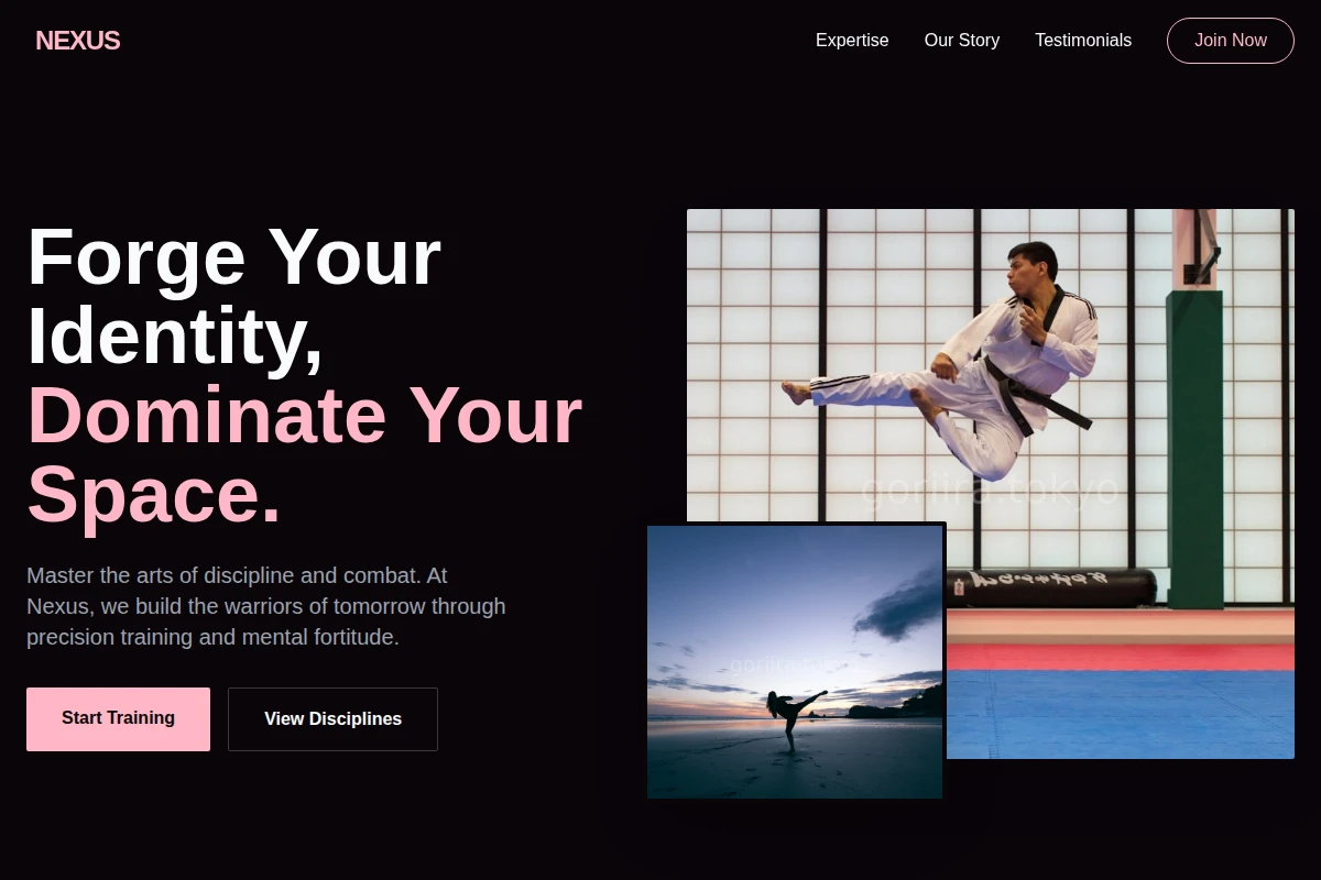 Nexus Martial Arts Studio